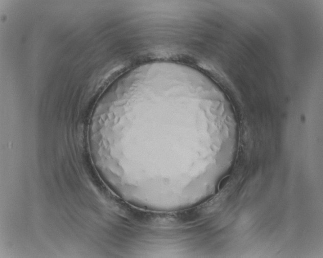 X0000060780066200512082109