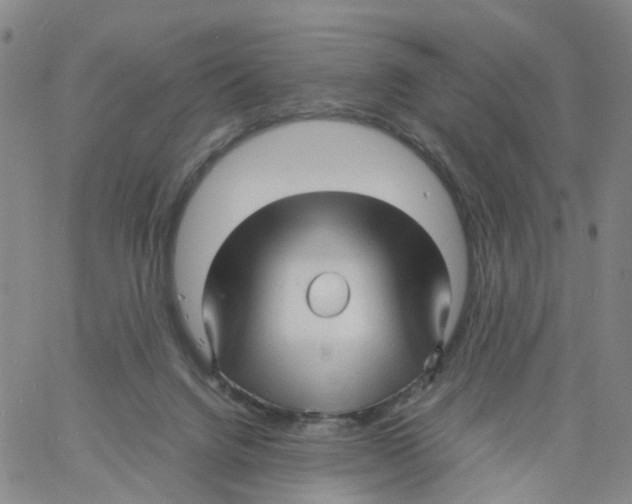 X0000060780072200512082109