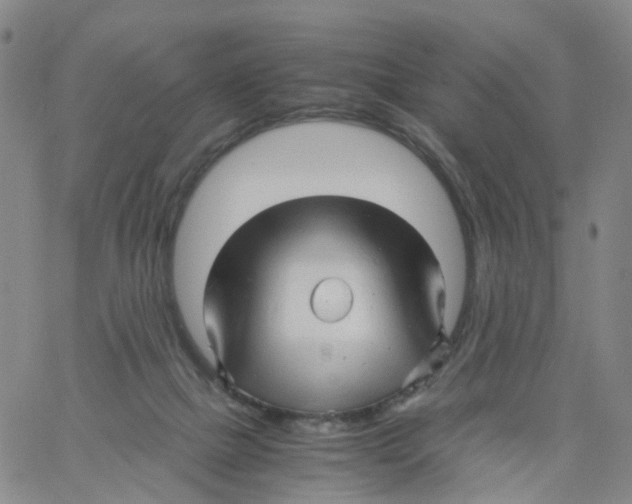 X0000060780073200512082109