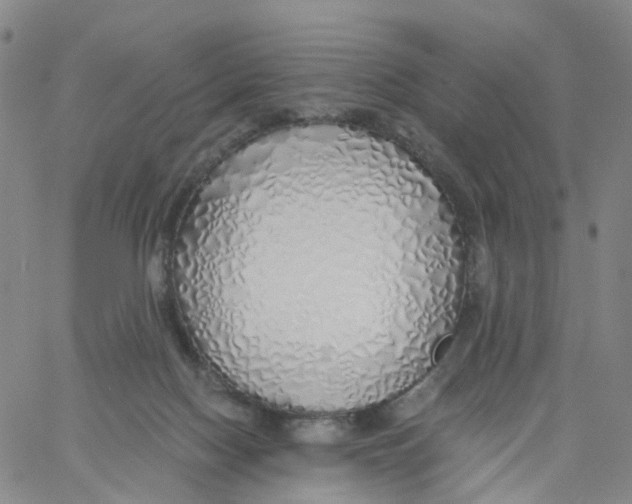 X0000060780074200512082109