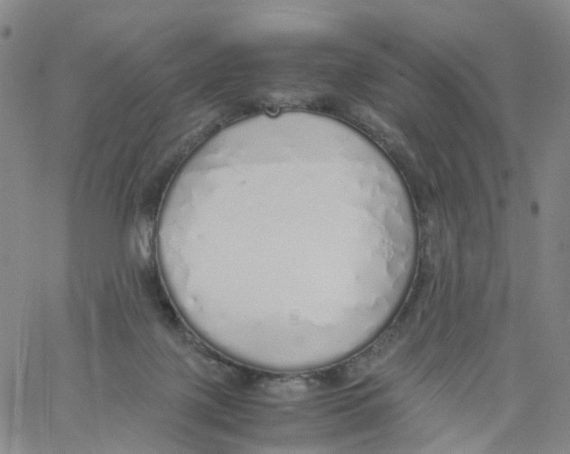 X0000060780075200512082109