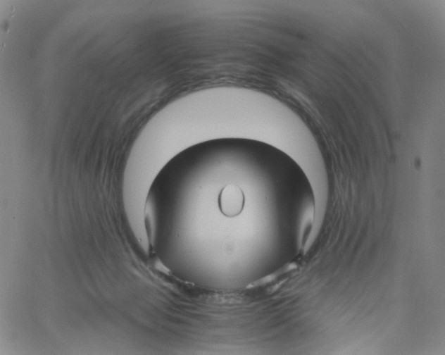 X0000060780077200512082109