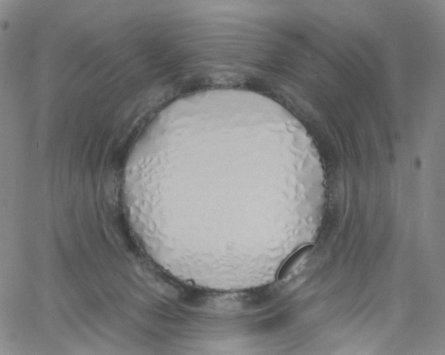 X0000060780078200512082109