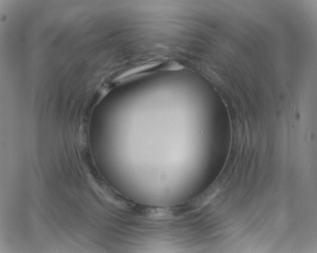 X0000060780088200512082109