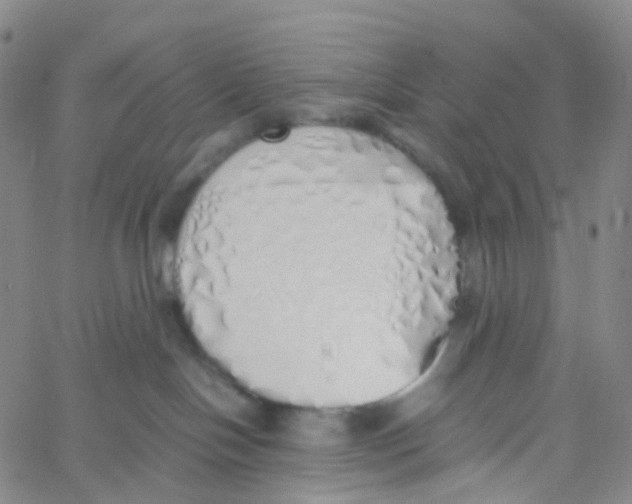 X0000060780094200512082109