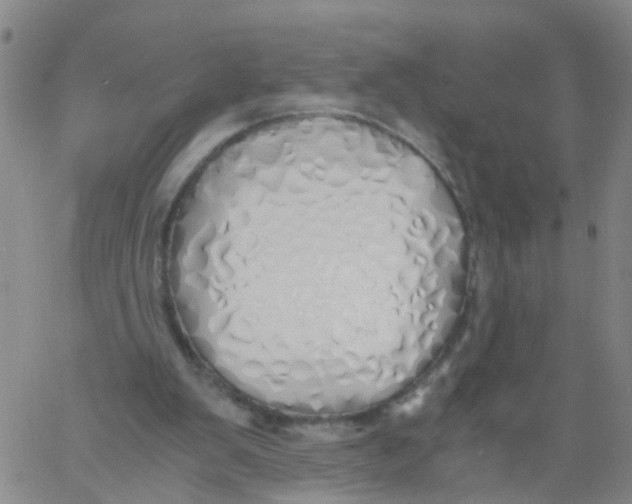 X0000060780103200512082109