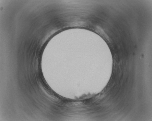 X0000060780108200512082109