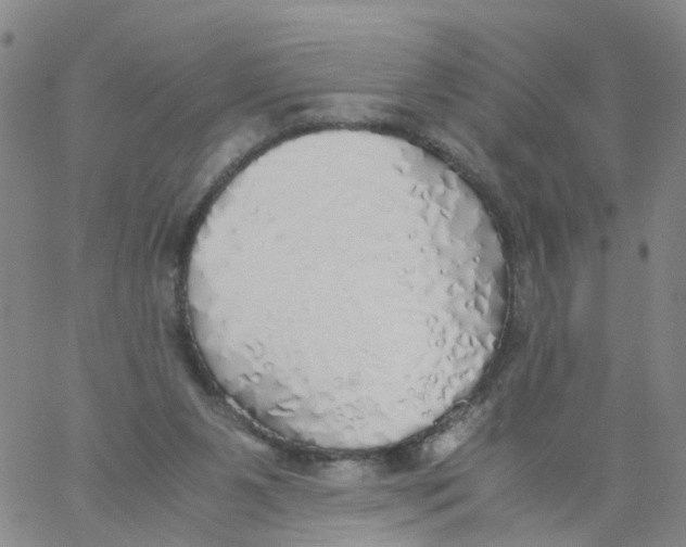 X0000060780111200512082108