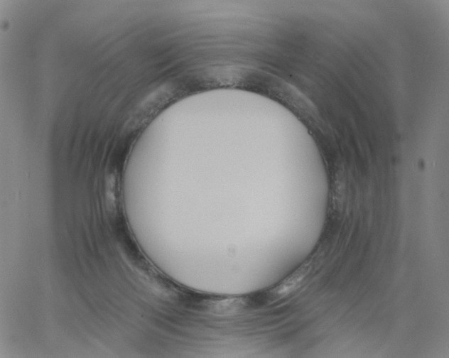X0000060780122200512082108