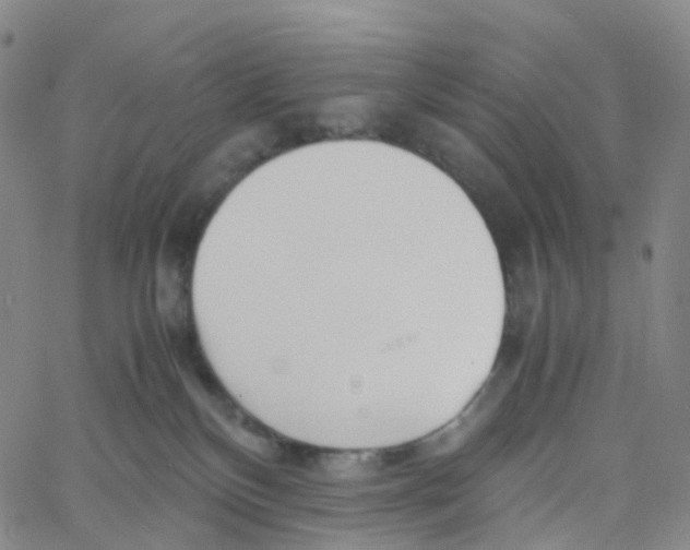 X0000060780136200512082108