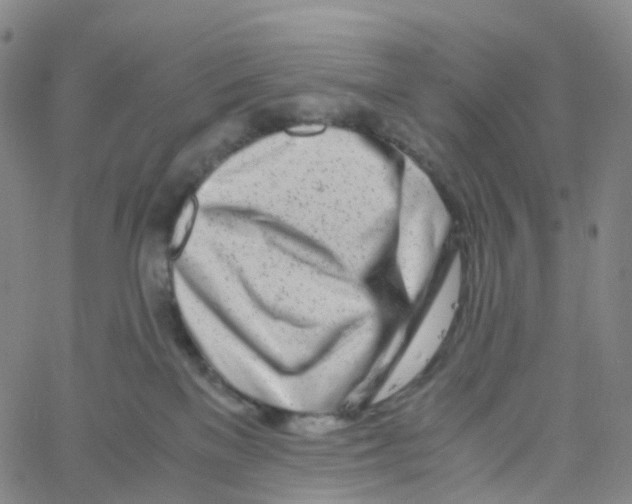 X0000060780137200512082108