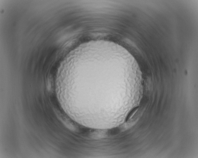 X0000060780138200512082108