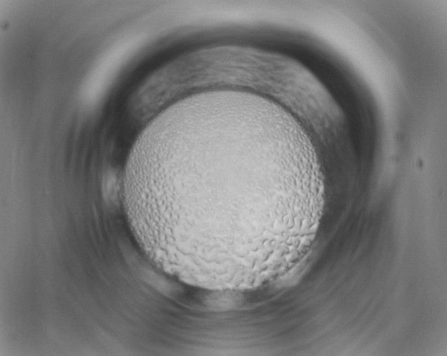 X0000060780142200512082108