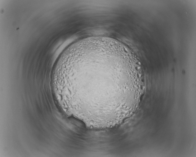 X0000060780147200512082107
