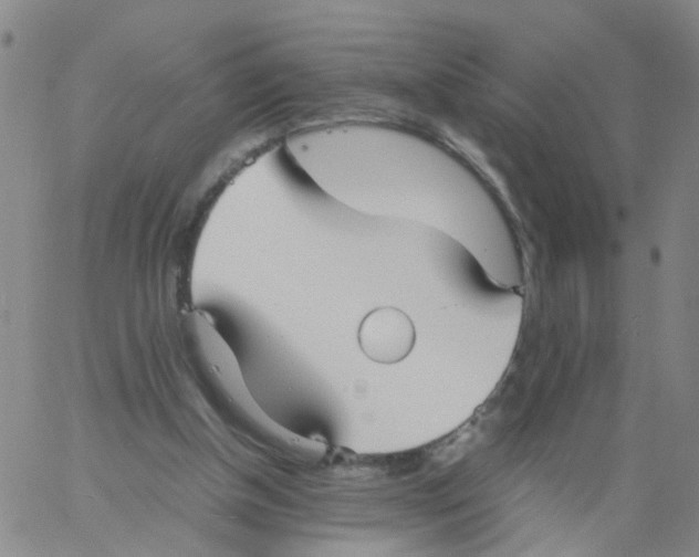 X0000060780154200512082107