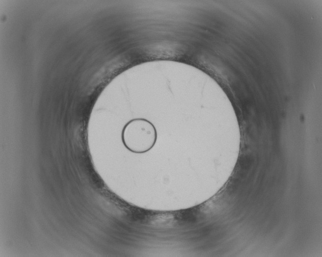 X0000060780162200512082107