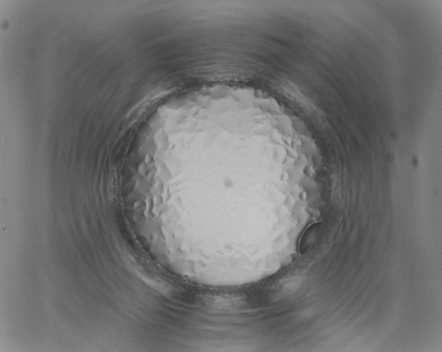 X0000060780165200512082107