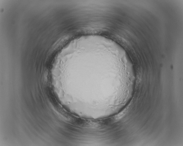 X0000060780166200512082107