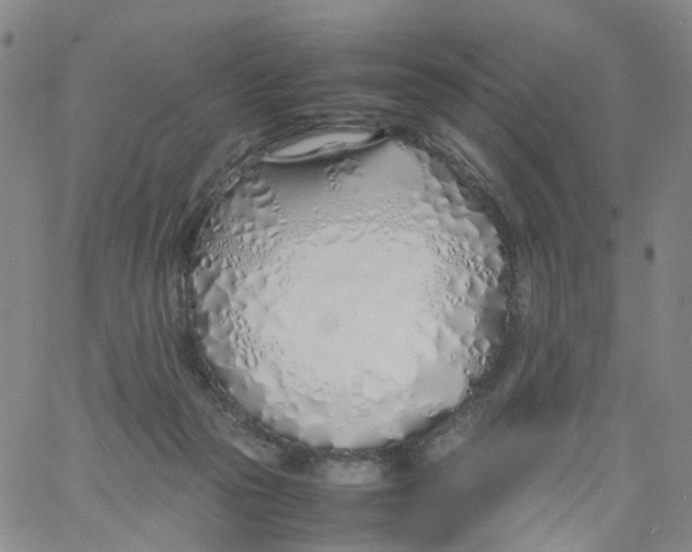 X0000060780169200512082108