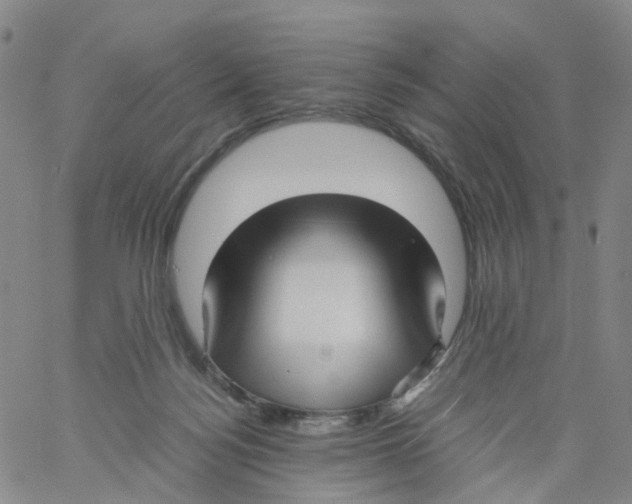 X0000060780172200512082108