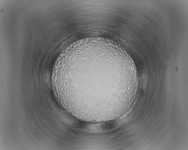 X0000060780178200512082108