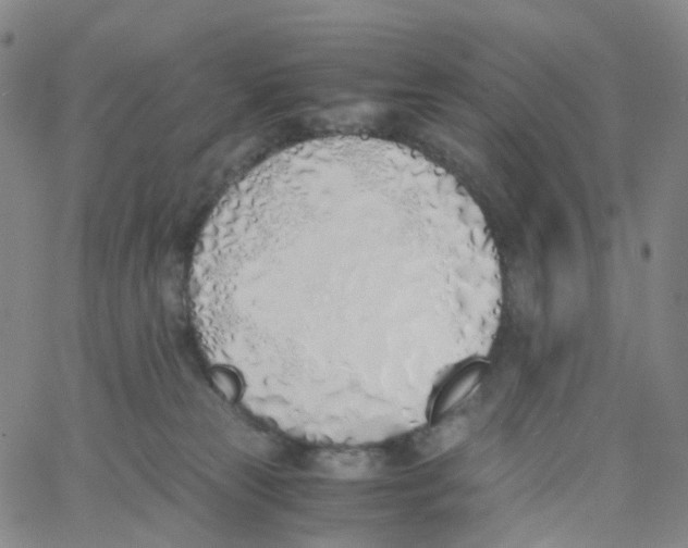 X0000060780181200512082108