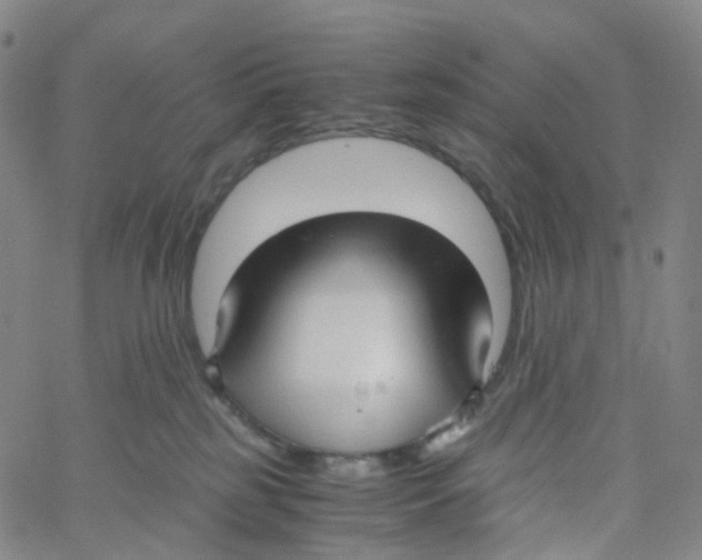 X0000060780185200512082108