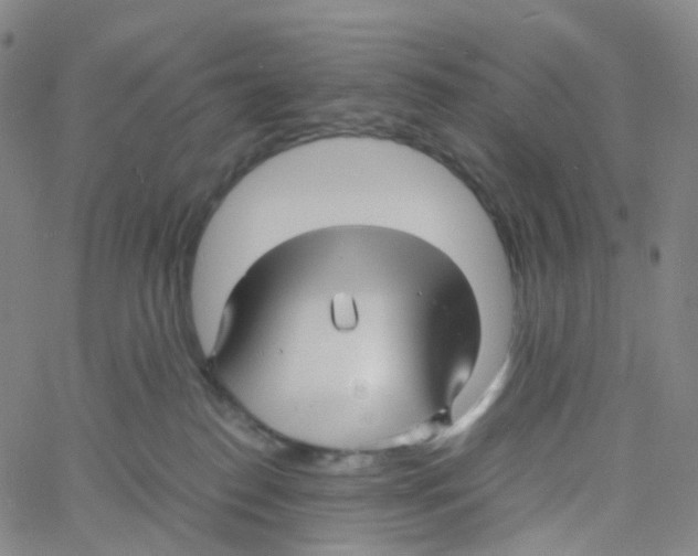 X0000060780186200512082108