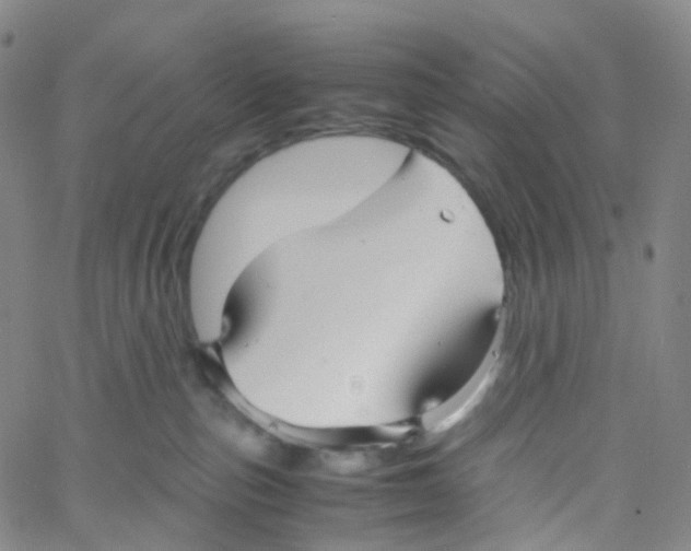 X0000060780187200512082108