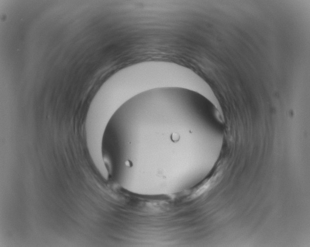 X0000060780188200512082108