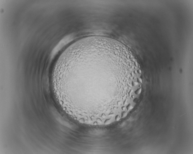 X0000060780198200512082107