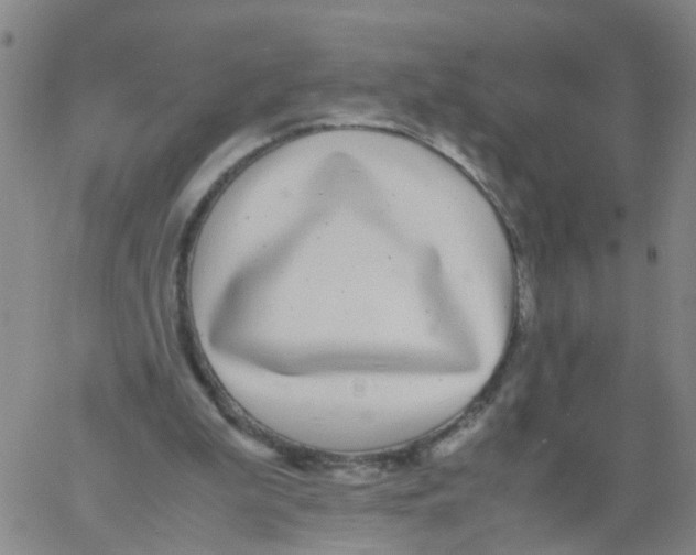 X0000060780199200512082107