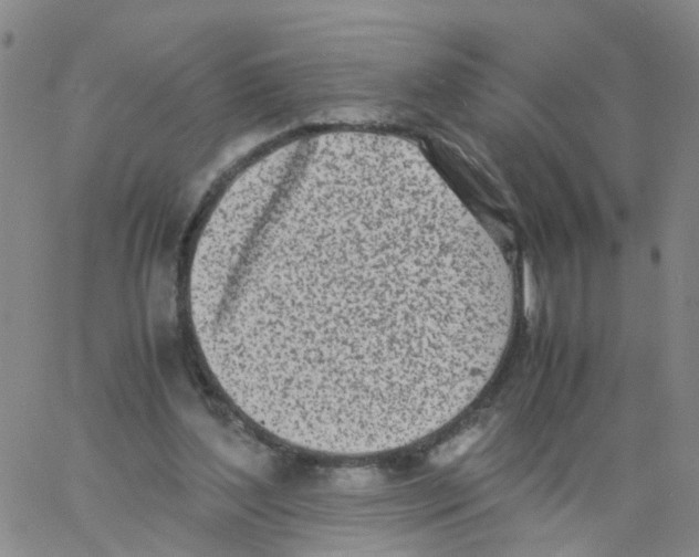 X0000060780204200512082107