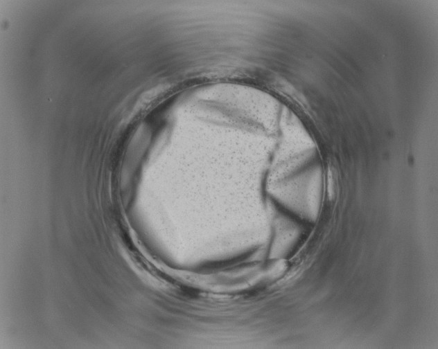 X0000060780205200512082107