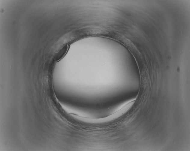 X0000060780207200512082107