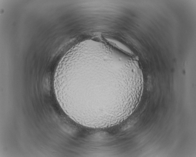 X0000060780210200512082107