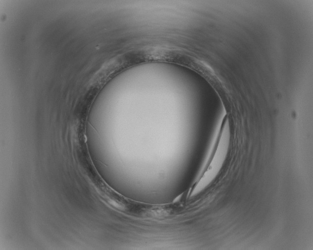 X0000060780217200512082107