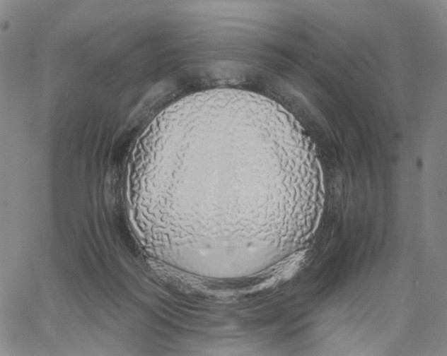 X0000060780218200512082107