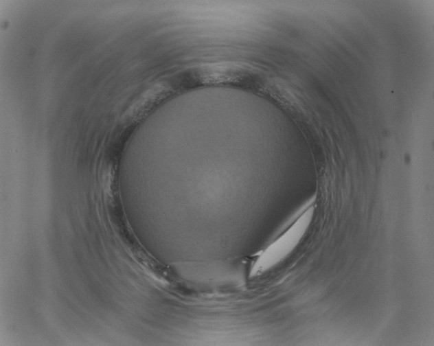 X0000060780219200512082107