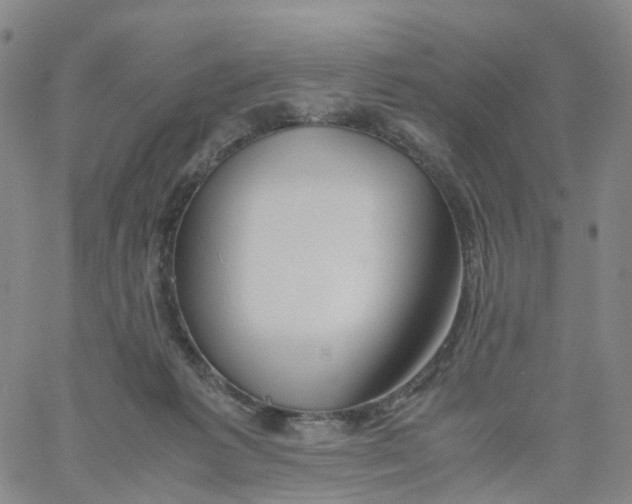 X0000060780221200512082107