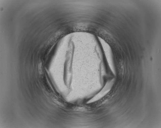X0000060780224200512082107