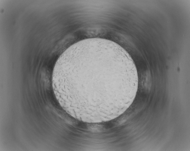 X0000060780226200512082107