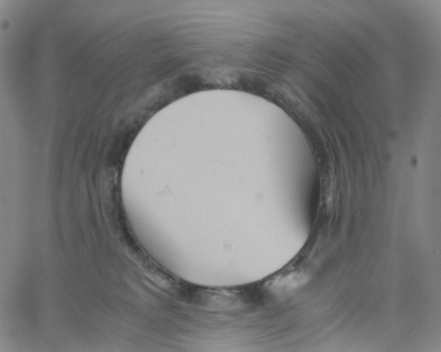 X0000060780229200512082107