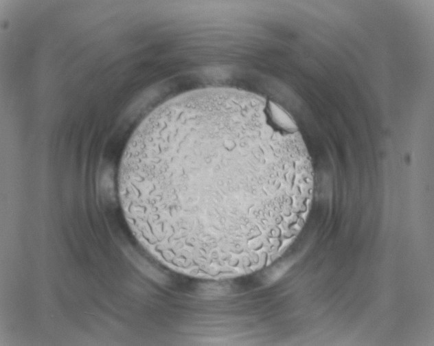 X0000060780238200512082106