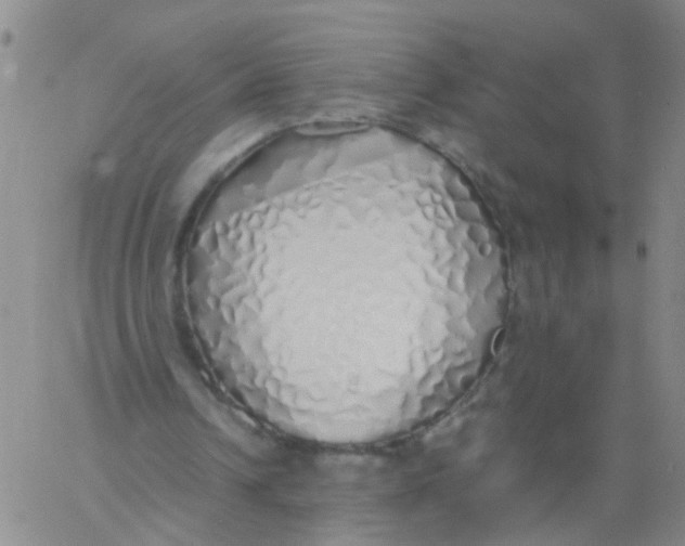 X0000060780242200512082106