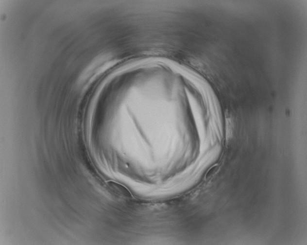 X0000060780243200512082106