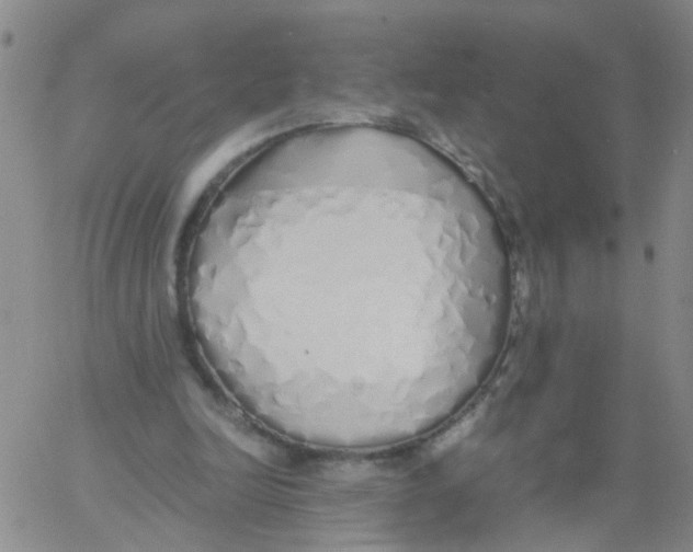 X0000060780246200512082106