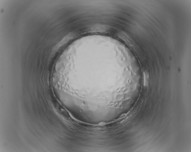 X0000060780253200512082106
