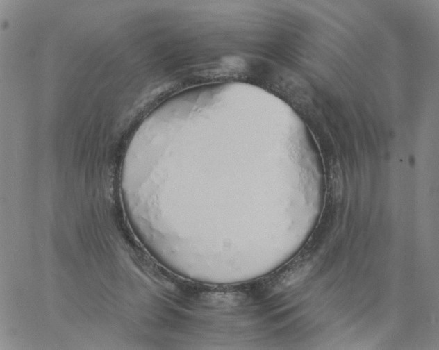 X0000060780255200512082106