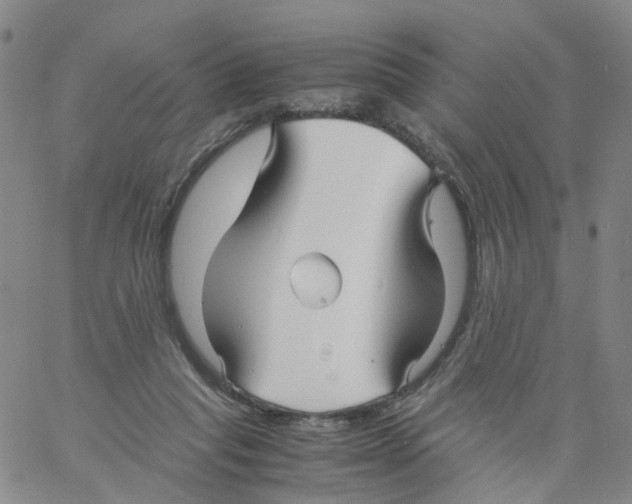 X0000060780261200512082106